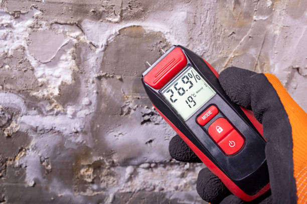Best Mold Cleaning Services  in Monona, IA