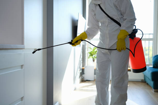 Professional Mold Removal in Monona, IA