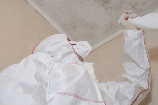 Best Fast Mold Removal  in Monona, IA